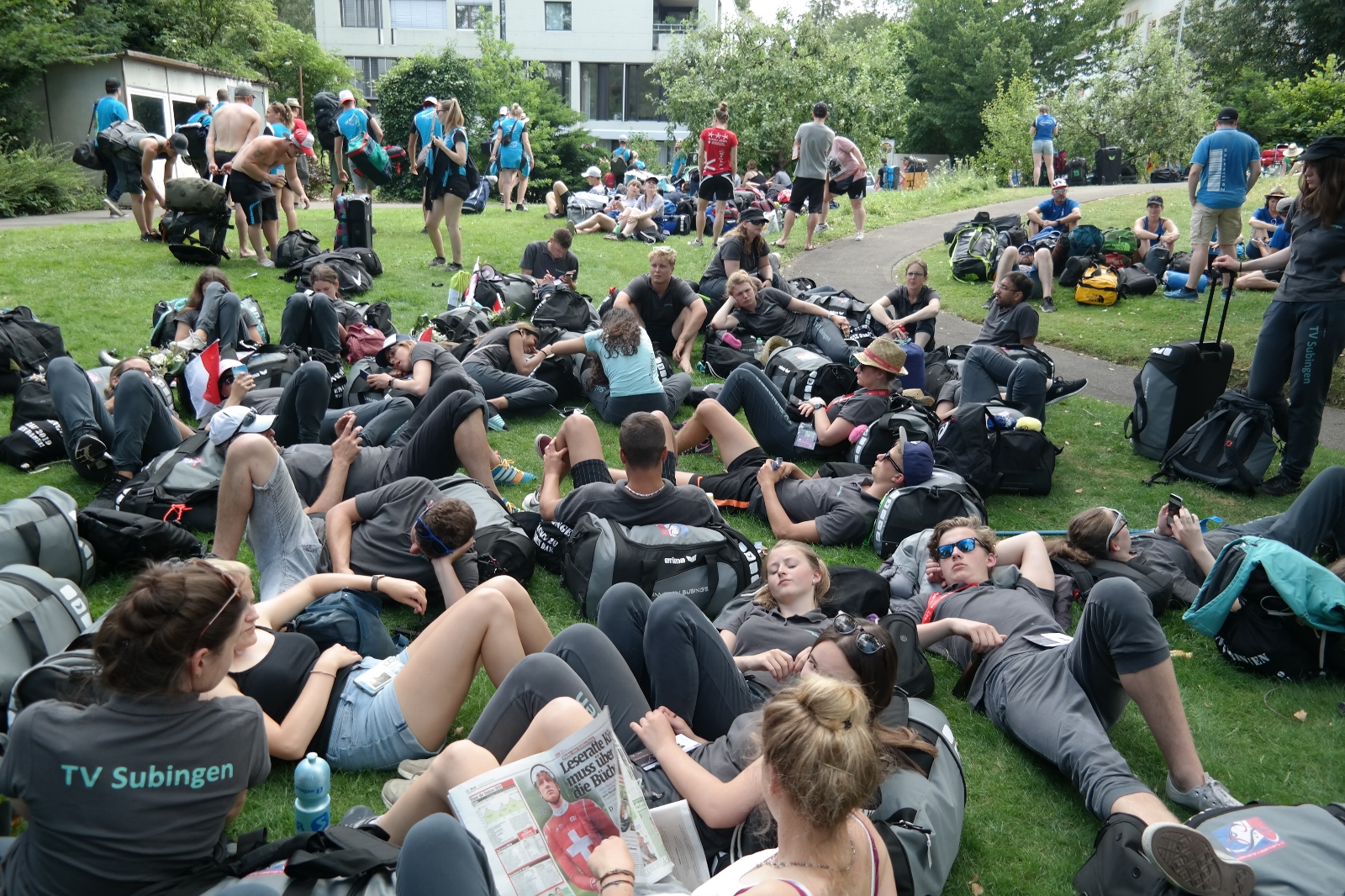 Bild1 (231)